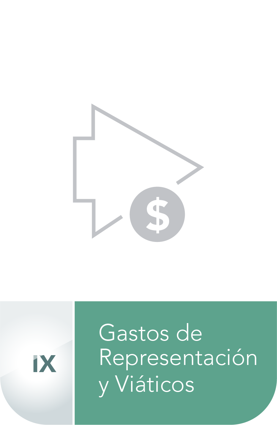 FRACCION IX