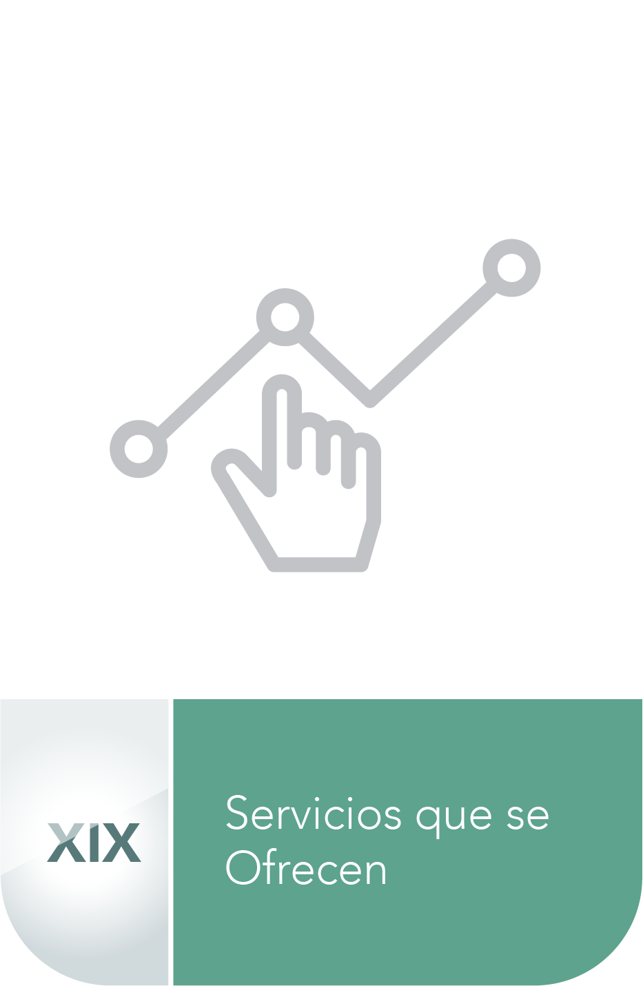 FRACCION XIX